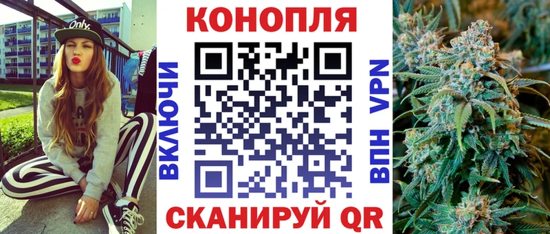 Бошки Шишки гибрид  Купить закладки  Закаменск 